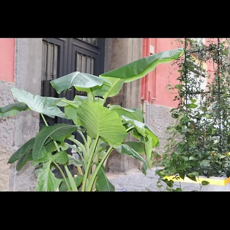 Apartmán Barbaro Centro Di Neapol